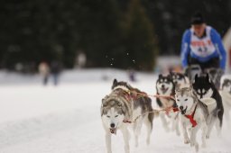 Lenzerheide 2013